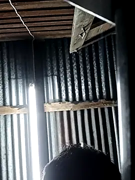 Pleum99 online show from January 2025 07:46:01 PM