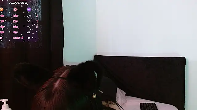 Diana P23 online show from January 2025 10:31:02 PM