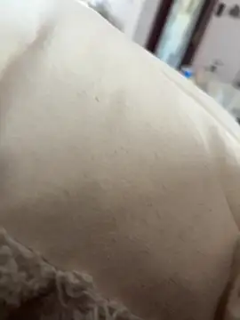 Snapshot of hengst2312 chatting on February 2025 11:01:02 AM hengst2312 online show from February 2025 11:01:02 AM