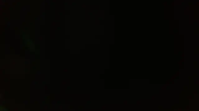 winter elf  online show from March 2026 03:48:01 AM