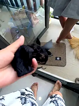 TOP po online show from October 2025 03:27:01 AM