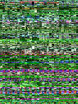 I am babydoll online show from January 2026 12:14:02 AM