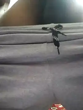 Snapshot of knightwolf9935 chatting on January 2025 12:48:02 PM knightwolf9935 online show from January 2025 12:48:02 PM