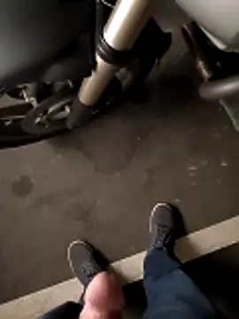 garibaldi1974 online show from November 2025 12:20:01 PM