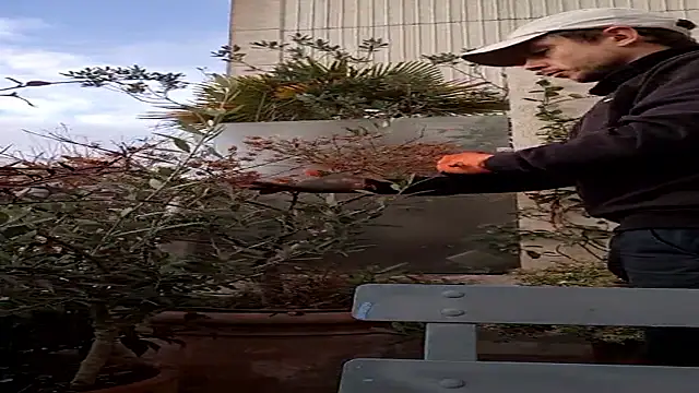 Snapshot of Vyda4 chatting on November 2025 08:29:02 AM Vyda4 online show from November 2025 08:29:02 AM