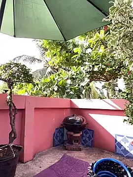 White Lu online show from April 2026 01:40:01 AM