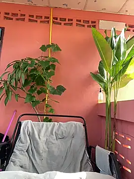 White Lu online show from April 2026 02:07:01 AM