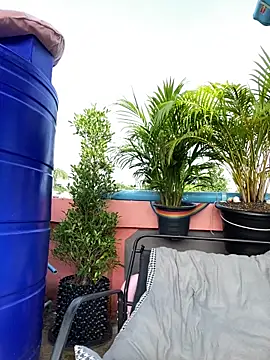 White Lu online show from March 2026 02:07:01 AM