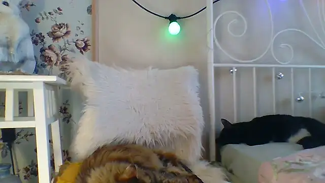 Frankie Foxie online show from February 2025 06:04:01 AM