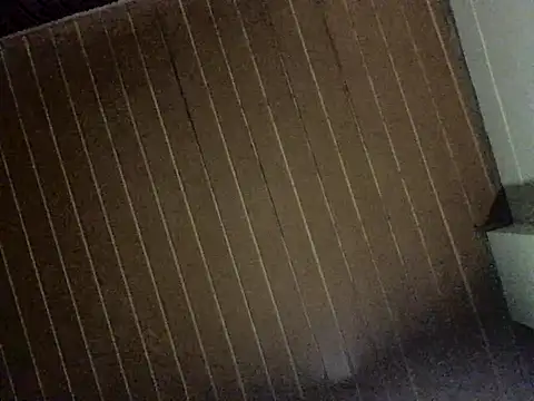 Nooneisthis online show from December 2025 06:36:01 AM