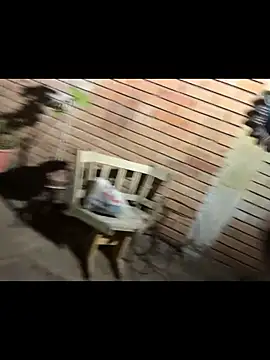 paullliliu online show from June 2026 07:38:02 AM