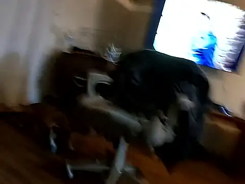 Snapshot of Johndis805 chatting on November 2025 05:29:02 AM Johndis805 online show from November 2025 05:29:02 AM