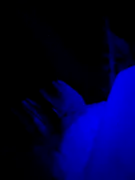 Jagebabe13 online show from December 2025 03:30:02 AM