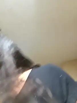 Jagebabe13 online show from February 2026 03:33:02 PM