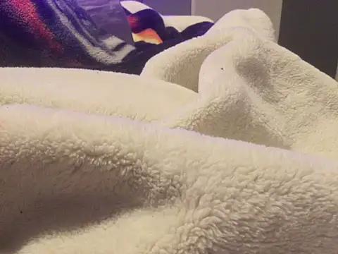 Pilote19 online show from January 2026 12:20:02 PM