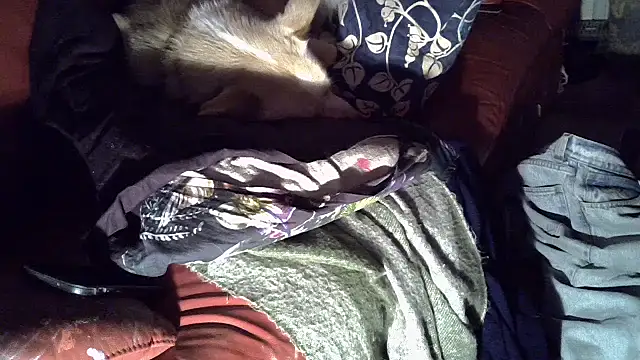 Damn bro23 online show from January 2026 12:47:02 AM