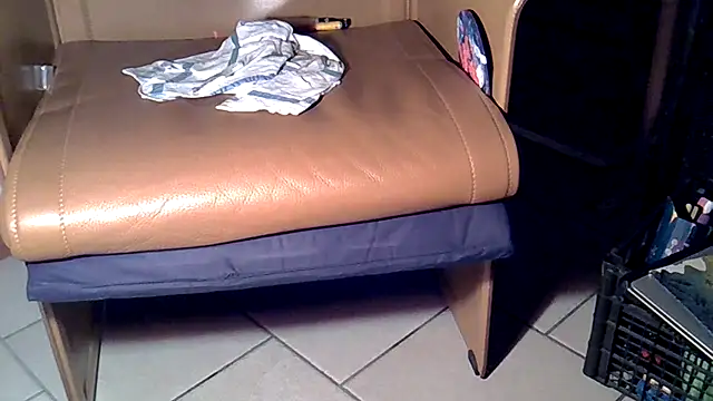 Damn bro23 online show from November 2025 05:57:01 PM