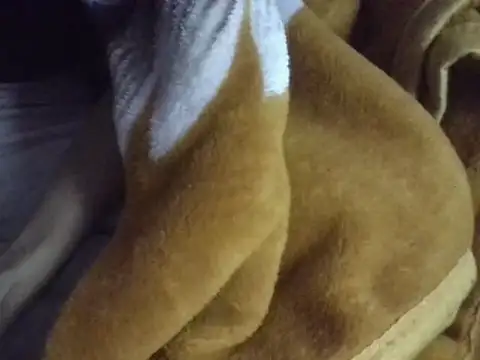 AKANSHA 7 online show from December 2025 03:02:02 PM