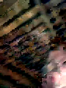 YourNotMySupervisor online show from November 2025 04:16:02 AM