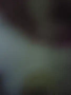 randit7 online show from November 2025 04:28:01 AM