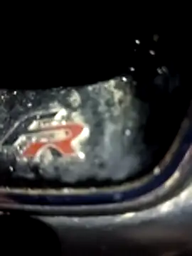 petxxl online show from December 2025 03:51:01 AM