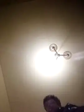 petxxl online show from November 2025 08:14:01 AM