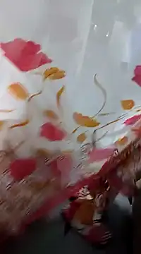 Snapshot of laxmitelugu78 chatting on February 2025 01:59:02 PM laxmitelugu78 online show from February 2025 01:59:02 PM