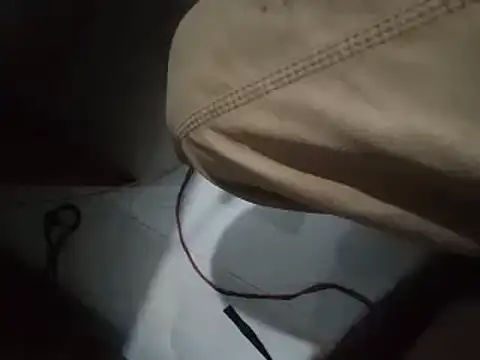 world bigdick1 online show from November 2025 02:39:01 PM