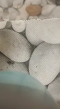 Snapshot of Playboy_bhabhi_00 chatting on February 2025 08:14:01 AM Playboy bhabhi 00 online show from February 2025 08:14:01 AM