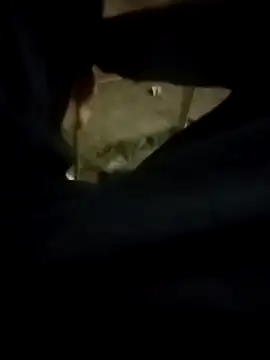 Snapshot of Playboy_bhabhi_00 chatting on February 2025 02:42:01 PM Playboy bhabhi 00 online show from February 2025 02:42:01 PM