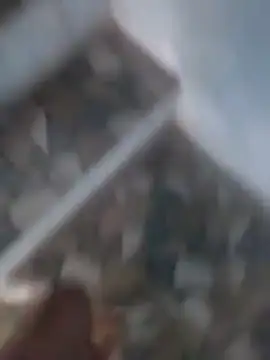 Snapshot of Playboy_bhabhi_00 chatting on March 2025 11:22:02 AM Playboy bhabhi 00 online show from March 2025 11:22:02 AM