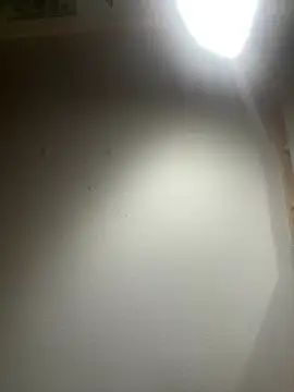 Snapshot of sexyhotstud12 chatting on February 2025 03:41:01 AM sexyhotstud12 online show from February 2025 03:41:01 AM