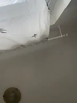 bunnythetailor online show from February 2026 06:26:01 AM