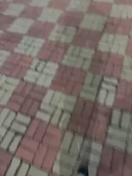 Phil 6677 online show from October 2025 06:53:01 PM