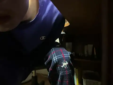 Phil 6677 online show from April 2026 03:18:02 PM