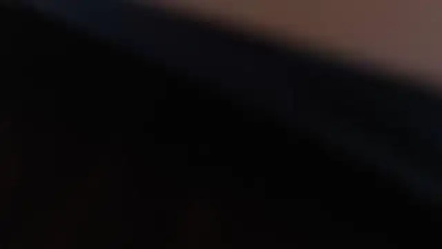 joachimheiss online show from March 2026 05:37:02 AM