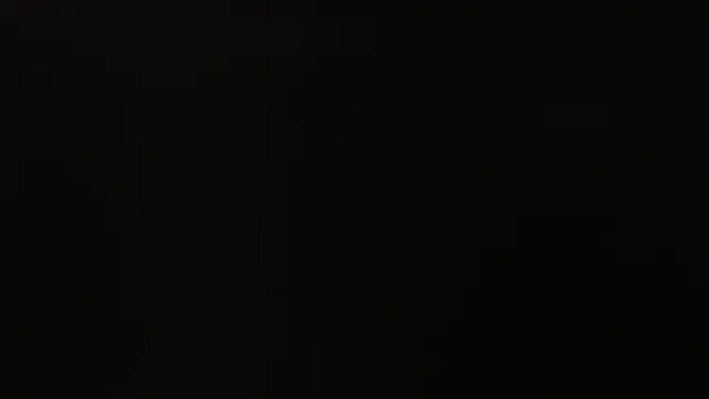 joachimheiss online show from April 2026 07:15:02 AM