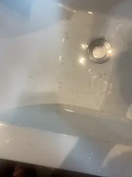 yannusgir33 online show from February 2026 11:21:02 AM