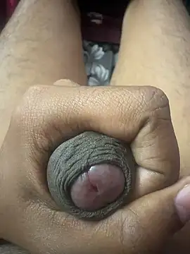 indsau online show from February 2026 07:21:02 PM