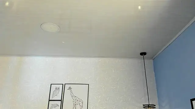 ninna curly online show from March 2026 09:42:01 PM