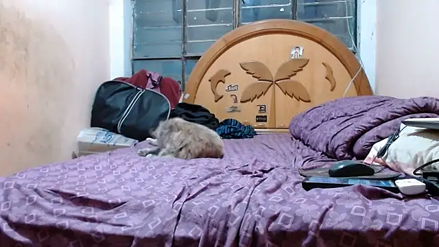 nakedlima online show from October 2025 05:15:02 AM