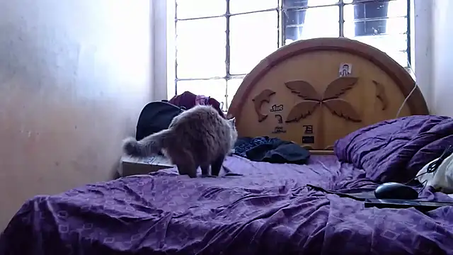 nakedlima online show from October 2025 05:20:02 PM