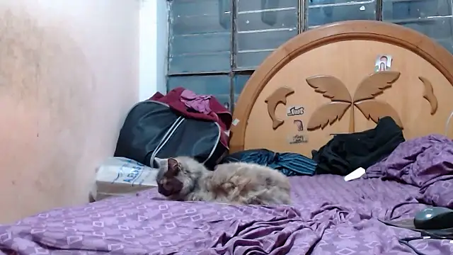 nakedlima online show from October 2025 06:58:02 AM