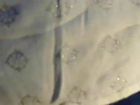 Cutie Pie1p online show from March 2025 08:45:01 AM