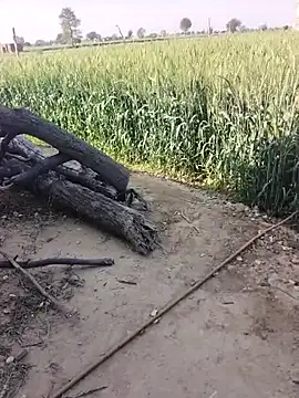 xmanrawan2 online show from February 2026 05:09:01 AM