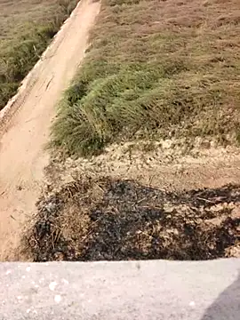 xmanrawan2 online show from February 2026 05:07:01 AM