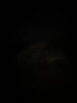 adelin20 online show from November 2025 06:19:02 PM