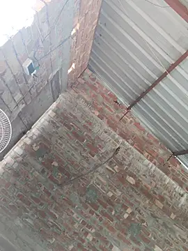 Snapshot of birds0641 chatting on October 2025 07:51:02 AM birds0641 online show from October 2025 07:51:02 AM