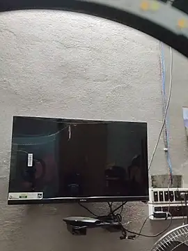 Snapshot of birds0641 chatting on October 2025 06:20:02 PM birds0641 online show from October 2025 06:20:02 PM