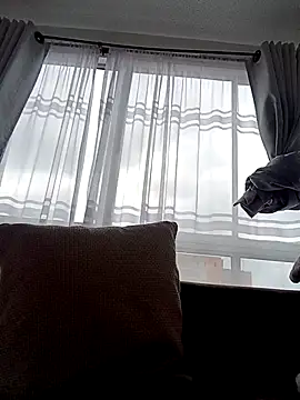 Snapshot of bri_ali chatting on March 2025 06:05:02 PM bri ali online show from March 2025 06:05:02 PM